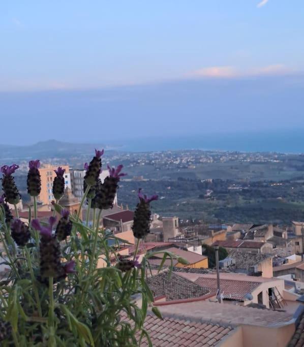 Casuzza Al Duomo Con Vista Valle Dei Templi! Agrigento Exterior photo